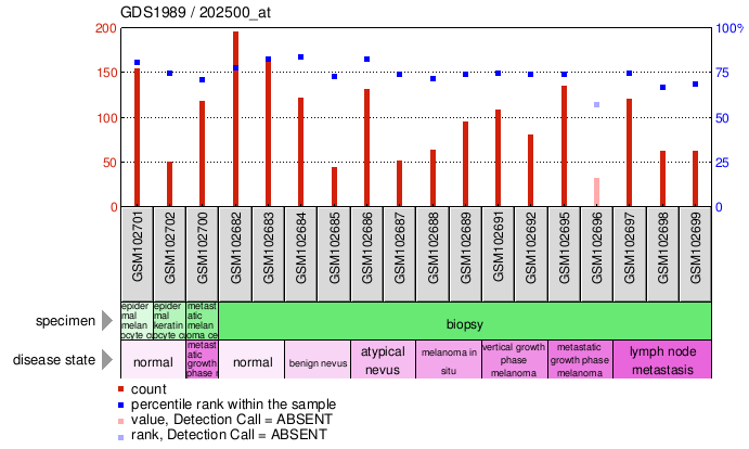 Gene Expression Profile