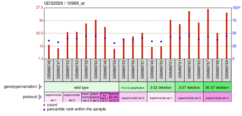 Gene Expression Profile