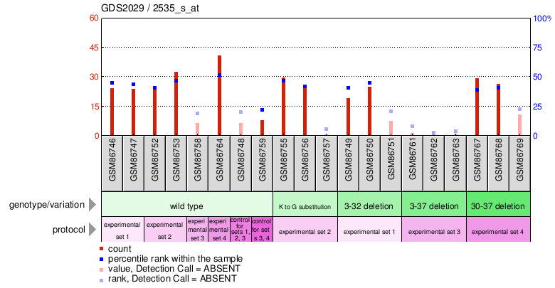 Gene Expression Profile