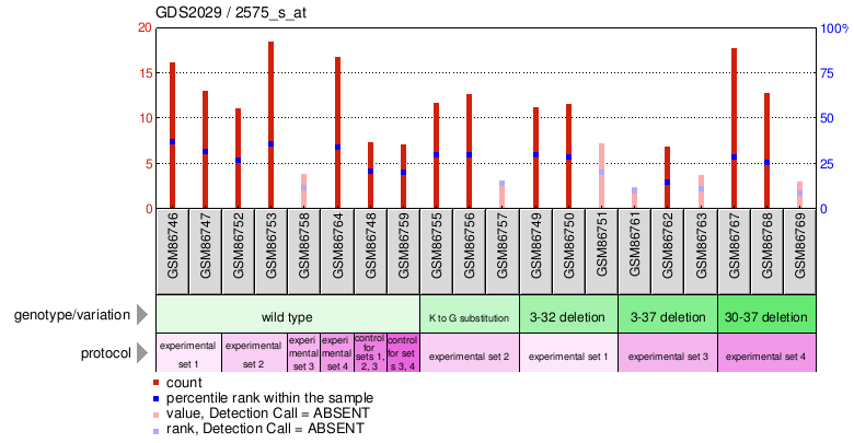 Gene Expression Profile