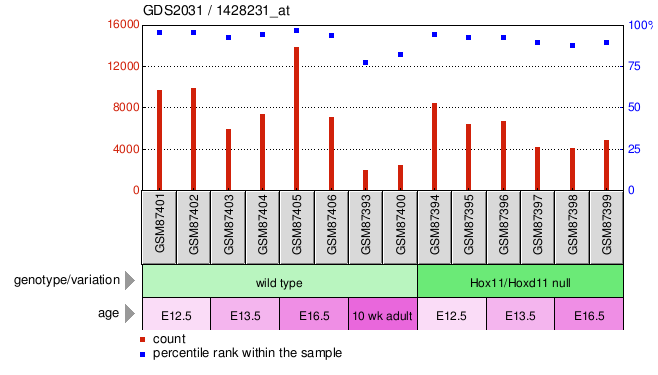 Gene Expression Profile