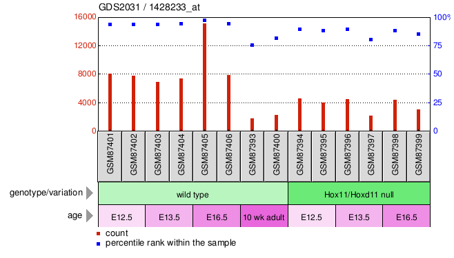 Gene Expression Profile