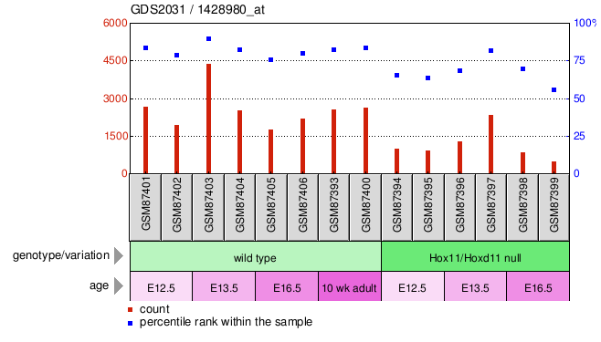 Gene Expression Profile