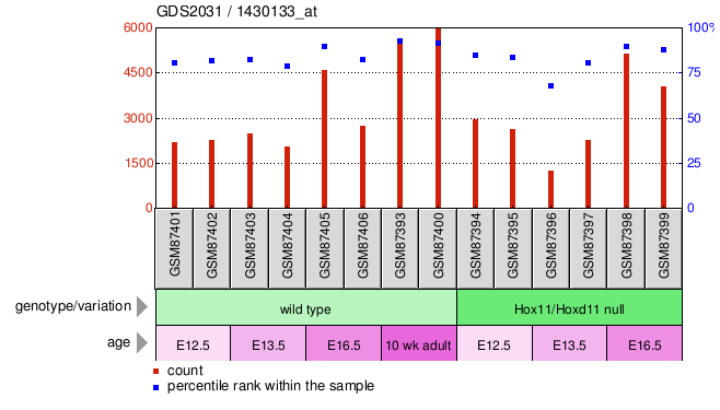 Gene Expression Profile