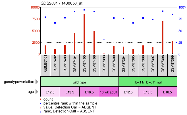 Gene Expression Profile