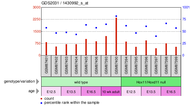 Gene Expression Profile