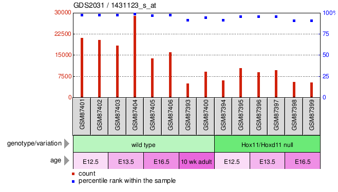 Gene Expression Profile