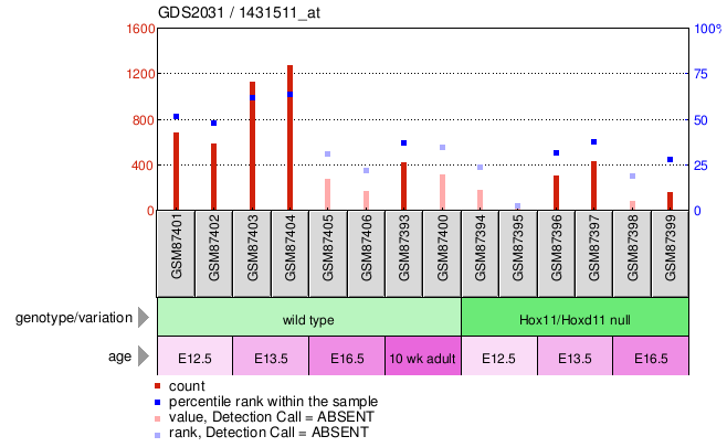 Gene Expression Profile