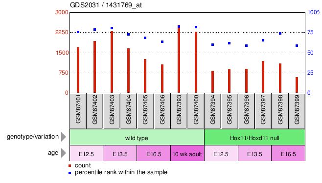 Gene Expression Profile