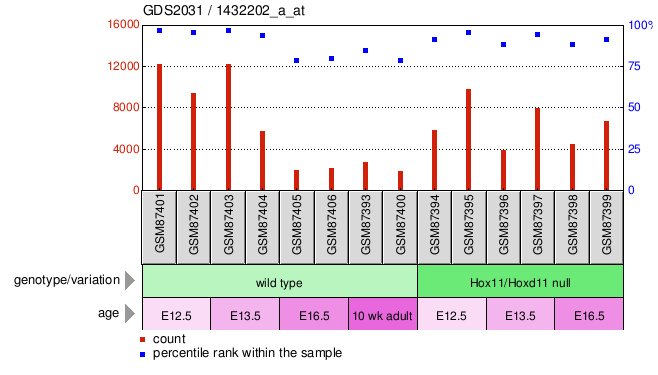 Gene Expression Profile