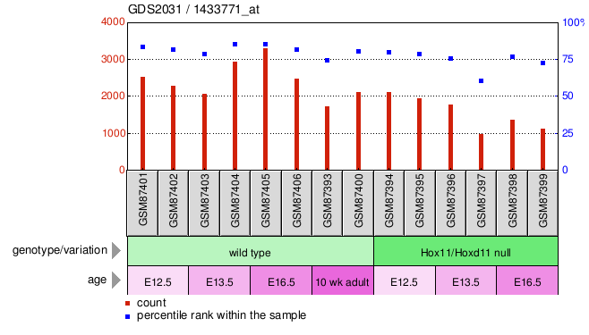 Gene Expression Profile