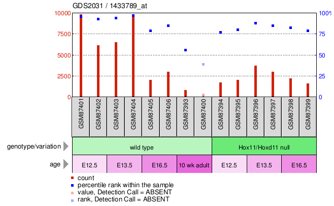 Gene Expression Profile