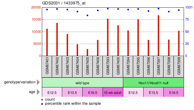 Gene Expression Profile