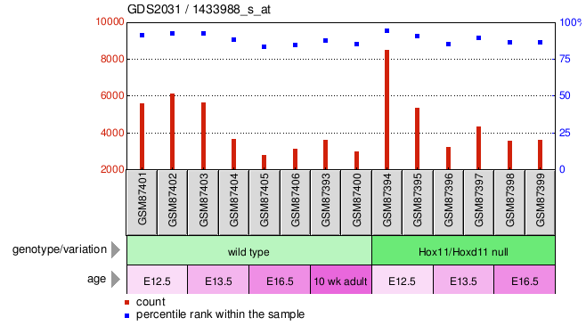 Gene Expression Profile