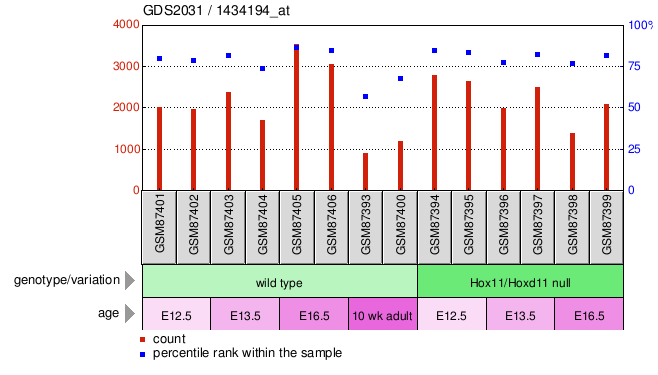 Gene Expression Profile