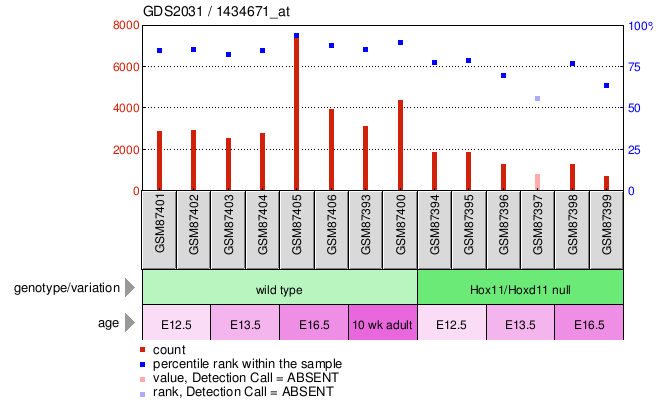 Gene Expression Profile