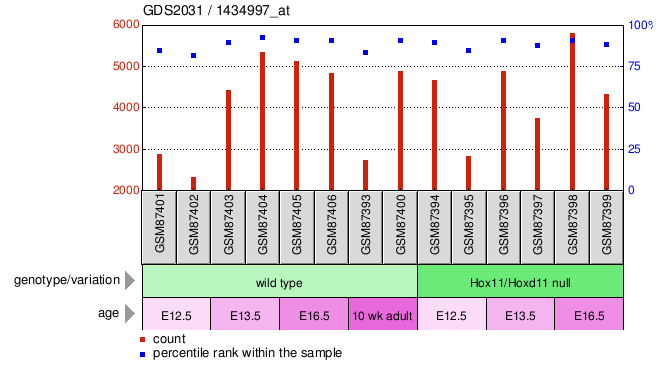 Gene Expression Profile