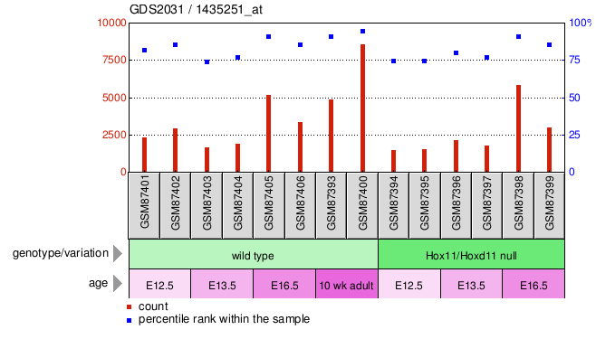 Gene Expression Profile