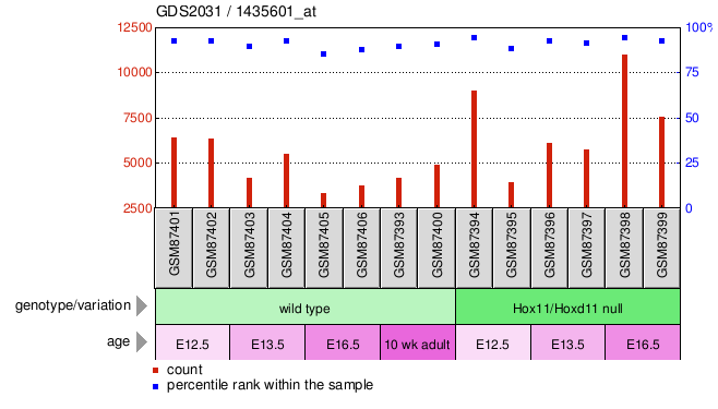 Gene Expression Profile