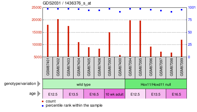 Gene Expression Profile