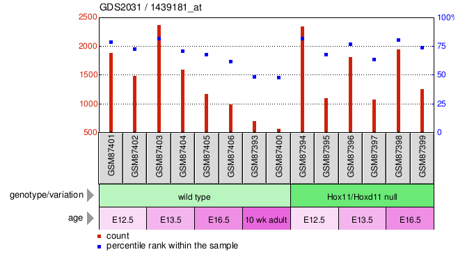 Gene Expression Profile