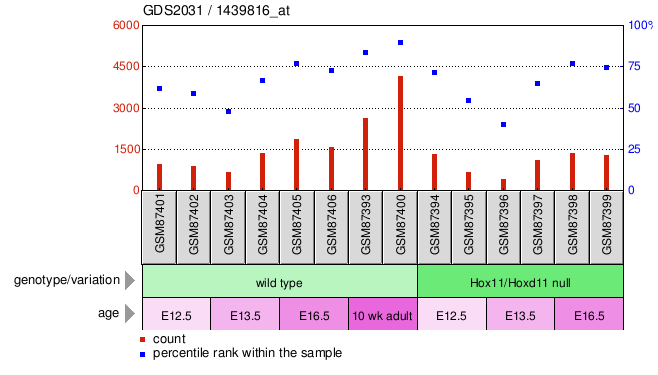 Gene Expression Profile