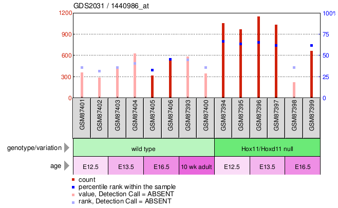 Gene Expression Profile