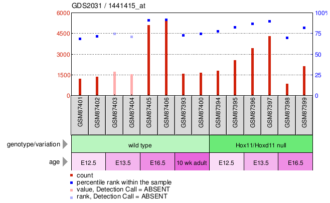 Gene Expression Profile