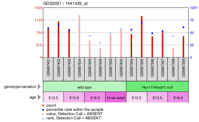 Gene Expression Profile