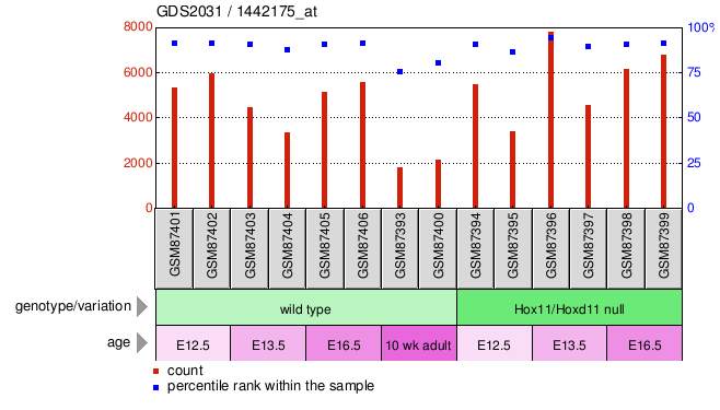 Gene Expression Profile