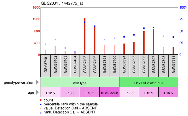 Gene Expression Profile