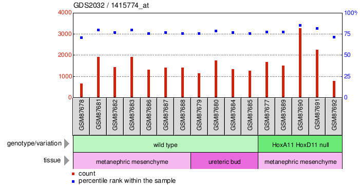 Gene Expression Profile