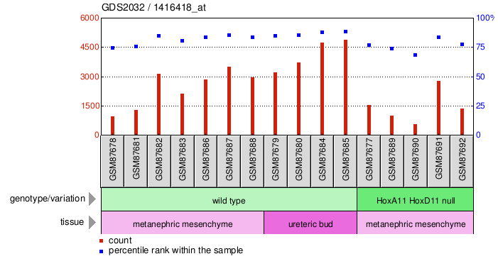 Gene Expression Profile