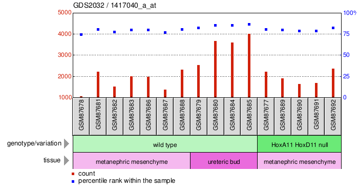 Gene Expression Profile