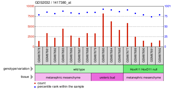 Gene Expression Profile