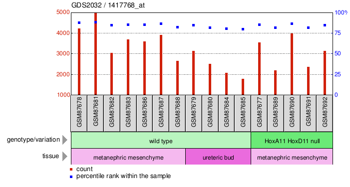 Gene Expression Profile