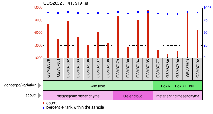 Gene Expression Profile