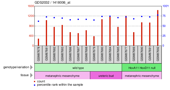 Gene Expression Profile