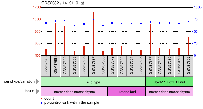 Gene Expression Profile