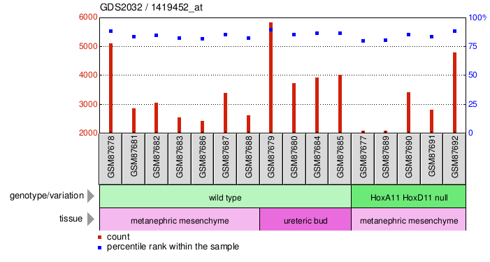 Gene Expression Profile