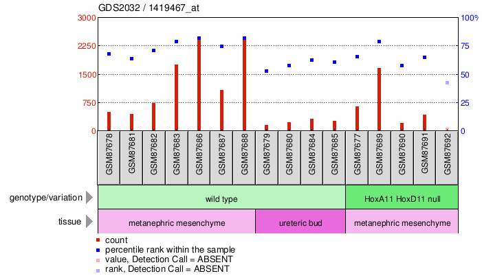 Gene Expression Profile