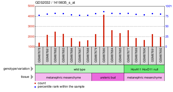 Gene Expression Profile