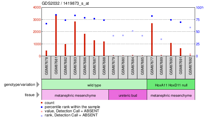 Gene Expression Profile