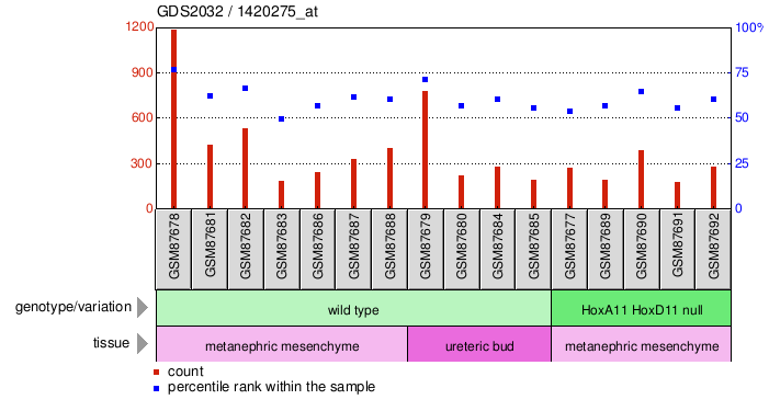 Gene Expression Profile