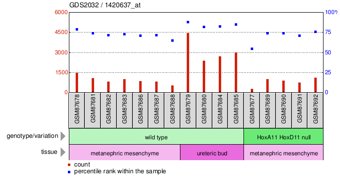 Gene Expression Profile