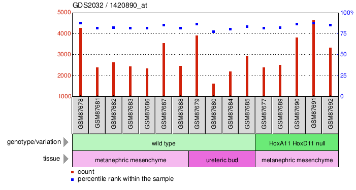 Gene Expression Profile