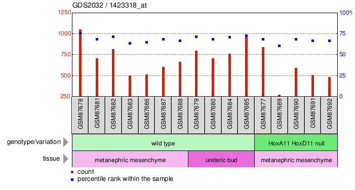 Gene Expression Profile