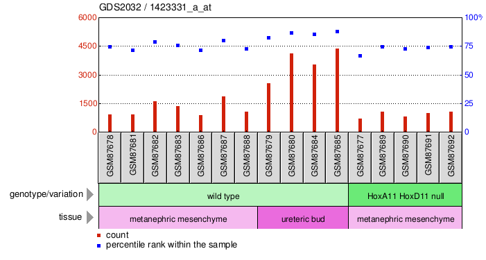 Gene Expression Profile