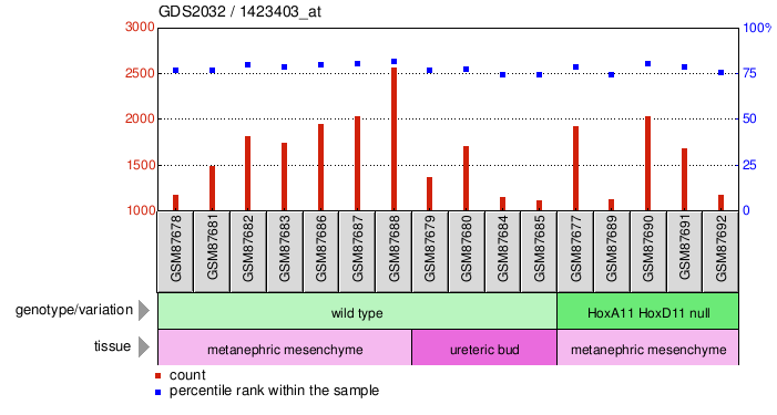 Gene Expression Profile