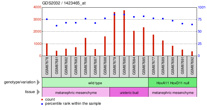 Gene Expression Profile